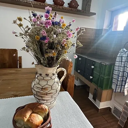Pri Lese,liptov Шале