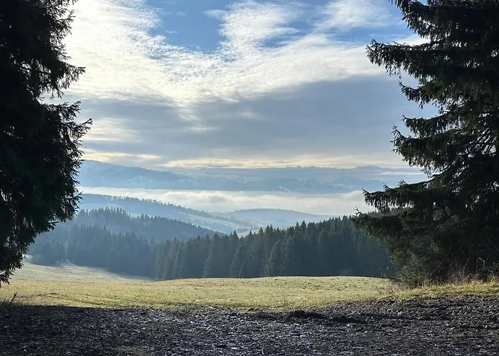 Dağ evi Pri Lese,liptov *