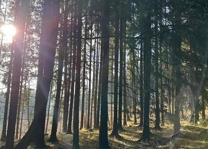 Pri Lese,liptov Chalet Bobrovec